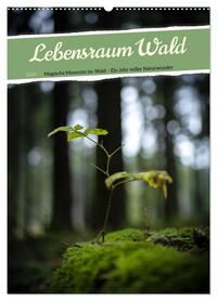 Cover-Abbildung für Lebensraum Wald (Wandkalender 2026 DIN A2 hoch), CALVENDO Monatskalender (99999---978-3-516-71671-9)
