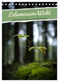 Cover-Abbildung für Lebensraum Wald (Tischkalender 2026 DIN A5 hoch), CALVENDO Monatskalender (99999---978-3-516-71679-5)