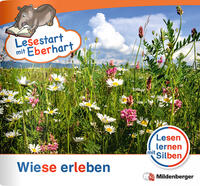 Lesestart mit Eberhart - Wiese erleben