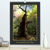 Das Seelenlicht der Bäume (Premium, hochwertiger DIN A2 Wandkalender 2020, Kunstdruck in Hochglanz)