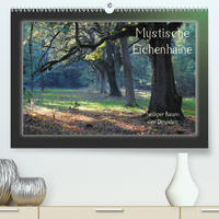 Mystische Eichenhaine (Premium, hochwertiger DIN A2 Wandkalender 2020, Kunstdruck in Hochglanz)