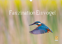 Faszination Eisvogel (Wandkalender 2022 DIN A3 quer)