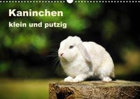 Kaninchen klein und putzig (Wandkalender 2022 DIN A3 quer)