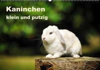 Kaninchen klein und putzig (Premium, hochwertiger DIN A2 Wandkalender 2022, Kunstdruck in Hochglanz)
