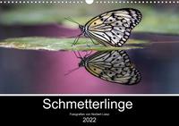 Exotische Schmetterlinge 2022 (Wandkalender 2022 DIN A3 quer)