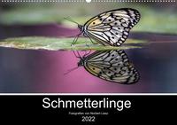 Exotische Schmetterlinge 2022 (Wandkalender 2022 DIN A2 quer)