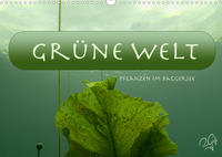 Baggersee - die grüne Welt (Wandkalender 2022 DIN A3 quer)