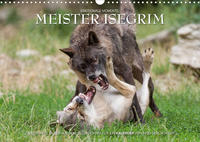 Meister Isegrim (Wandkalender 2022 DIN A3 quer)