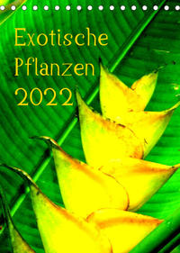 Exotische Pflanzen (Tischkalender 2022 DIN A5 hoch)