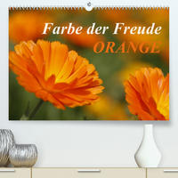 ORANGE – Farbe der Freude (Premium, hochwertiger DIN A2 Wandkalender 2022, Kunstdruck in Hochglanz)