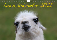 Lama-Kalender 2022 (Wandkalender 2022 DIN A4 quer)