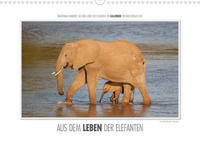 Emotionale Momente: Aus dem Leben der Elefanten. (Wandkalender 2022 DIN A3 quer)