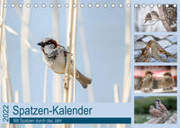 Spatzen-Kalender (Tischkalender 2022 DIN A5 quer)