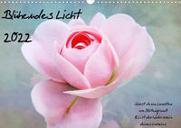 Blühendes Licht (Wandkalender 2022 DIN A3 quer)