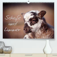 Schafe und Lämmer (Premium, hochwertiger DIN A2 Wandkalender 2022, Kunstdruck in Hochglanz)