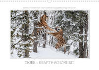 Emotionale Momente: Tiger - Kraft & Schönheit. (Wandkalender 2022 DIN A3 quer)