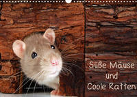 Süße Mäuse und Coole Ratten / CH-Version (Wandkalender 2022 DIN A3 quer)