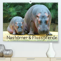 Nashörner & Flusspferde (Premium, hochwertiger DIN A2 Wandkalender 2022, Kunstdruck in Hochglanz)