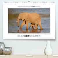 Emotionale Momente: Aus dem Leben der Elefanten. / CH-Version (Premium, hochwertiger DIN A2 Wandkalender 2022, Kunstdruck in Hochglanz)