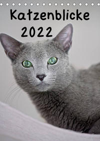 Katzenblicke 2022 (Tischkalender 2022 DIN A5 hoch)