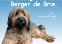 Berger de Brie - Fellnase mit Herz (Wandkalender 2022 DIN A3 quer)