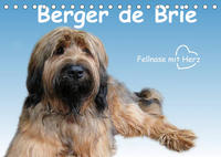 Berger de Brie - Fellnase mit Herz (Tischkalender 2022 DIN A5 quer)