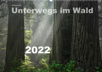 Wälderweit - Unterwegs im Wald I (Wandkalender 2022 DIN A2 quer)