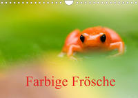 Farbige Frösche (Wandkalender 2022 DIN A4 quer)