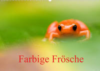 Farbige Frösche (Wandkalender 2022 DIN A2 quer)