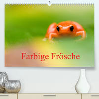 Farbige Frösche (Premium, hochwertiger DIN A2 Wandkalender 2022, Kunstdruck in Hochglanz)