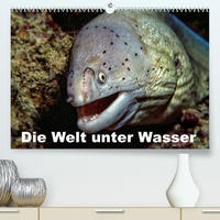 Die Welt unter Wasser (Premium, hochwertiger DIN A2 Wandkalender 2022, Kunstdruck in Hochglanz)