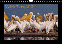 Wilde Tiere Afrikas (Wandkalender 2022 DIN A4 quer)