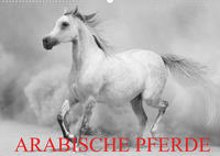 Arabische Pferde (Wandkalender 2022 DIN A2 quer)