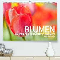 BLUMEN Zauber der Farben und Formen (Premium, hochwertiger DIN A2 Wandkalender 2022, Kunstdruck in Hochglanz)