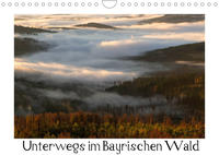 Unterwegs im Bayrischen Wald (Wandkalender 2022 DIN A4 quer)