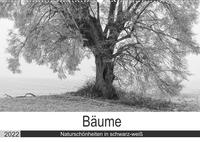 Bäume - Naturschönheiten in schwarz-weiß (Wandkalender 2022 DIN A2 quer)