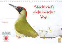 Steckbriefe einheimischer Vögel (Wandkalender 2022 DIN A4 quer)