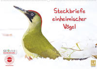 Steckbriefe einheimischer Vögel (Wandkalender 2022 DIN A2 quer)