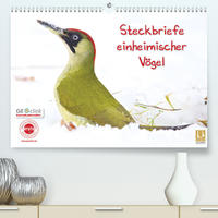 Steckbriefe einheimischer Vögel (Premium, hochwertiger DIN A2 Wandkalender 2022, Kunstdruck in Hochglanz)