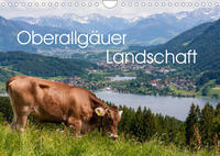 Oberallgäuer Landschaft (Wandkalender 2022 DIN A4 quer)