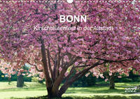 Bonn - Kirschblütenfest in der Altstadt (Wandkalender 2022 DIN A3 quer)