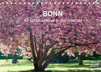 Bonn - Kirschblütenfest in der Altstadt (Tischkalender 2022 DIN A5 quer)
