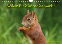 Wilde Eichhörnchenwelt! (Wandkalender 2022 DIN A4 quer)