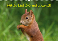 Wilde Eichhörnchenwelt! (Wandkalender 2022 DIN A3 quer)