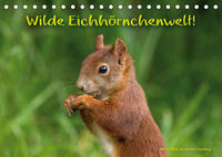 Wilde Eichhörnchenwelt! (Tischkalender 2022 DIN A5 quer)