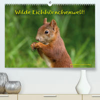 Wilde Eichhörnchenwelt! (Premium, hochwertiger DIN A2 Wandkalender 2022, Kunstdruck in Hochglanz)