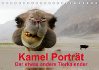 Kamel Porträt (Tischkalender 2022 DIN A5 quer)