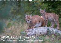 Wolf, Luchs und Co. - Tierbilder aus dem Bayerischen Wald (Wandkalender 2022 DIN A3 quer)