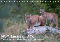 Wolf, Luchs und Co. - Tierbilder aus dem Bayerischen Wald (Tischkalender 2022 DIN A5 quer)