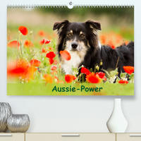 Aussie-Power (Premium, hochwertiger DIN A2 Wandkalender 2022, Kunstdruck in Hochglanz)